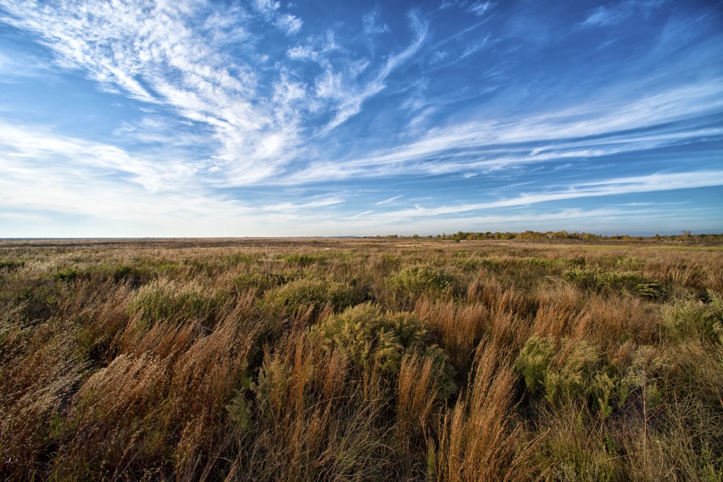 Attwater Prairie Chicken NWR by Ted Lee Eubanks