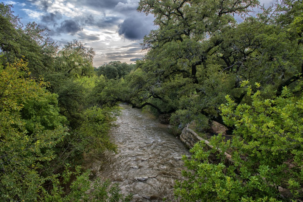 After the Rains by Ted Lee Eubanksd